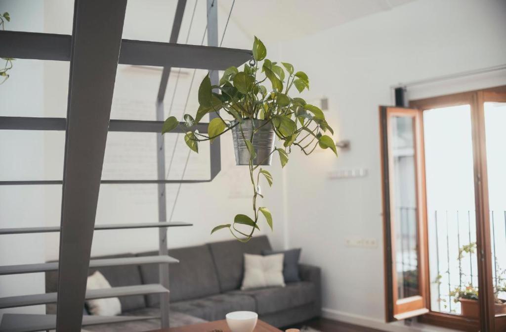 Trigo Homes Córdoba Buitenkant foto